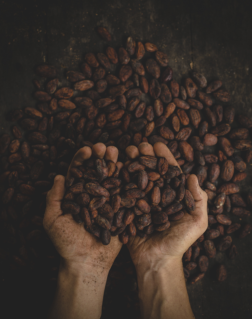 Chocolate de comercio justo de vending