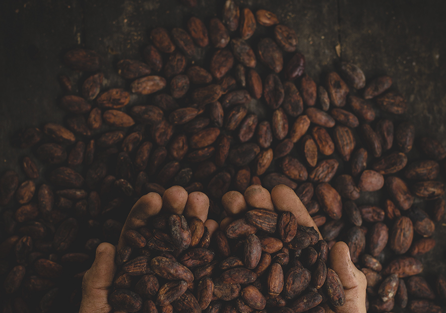 Chocolate de comercio justo de vending