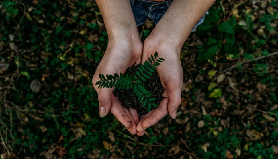 nuestra ética ecológica